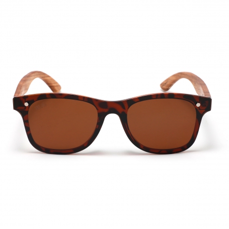 Campbell Brown Polarizado